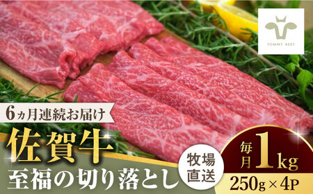 【ロマ佐賀】【全6回定期便】佐賀牛至福の切り落とし 計6kg（250g×4袋×6回） / 佐賀県 / 有限会社佐賀セントラル牧場 [41ASAA023]