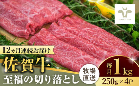 【ロマ佐賀】【全12回定期便】佐賀牛至福の切り落とし 計12kg（250g×4袋×12回） / 佐賀県 / 有限会社佐賀セントラル牧場 [41ASAA024] 10,500円