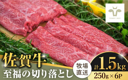 【ロマ佐賀】佐賀牛至福の切り落とし 計1.5kg（250g×6袋） / 佐賀県 / 有限会社佐賀セントラル牧場 [41ASAA025]
