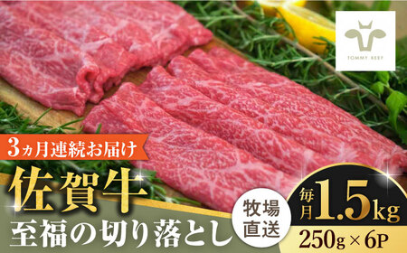 【ロマ佐賀】【全3回定期便】佐賀牛至福の切り落とし 計4.5kg（250g×6袋×3回） / 佐賀県 / 有限会社佐賀セントラル牧場 [41ASAA026]