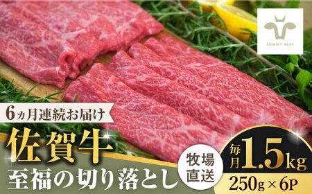 【ロマ佐賀】【全6回定期便】佐賀牛至福の切り落とし 計9kg（250g×6袋×6回） / 佐賀県 / 有限会社佐賀セントラル牧場 [41ASAA027]