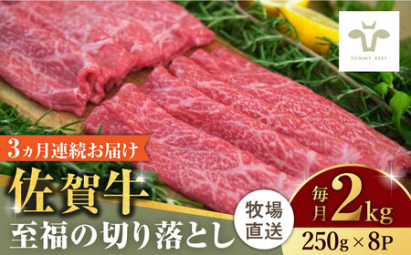 【ロマ佐賀】【全3回定期便】佐賀牛至福の切り落とし 計6kg（250g×8袋×3回） / 佐賀県 / 有限会社佐賀セントラル牧場 [41ASAA030]