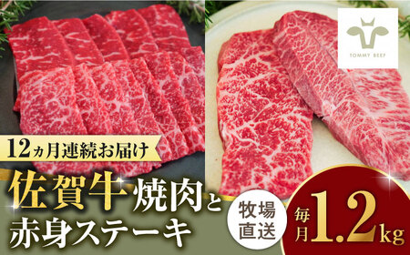 【ロマ佐賀】【全12回定期便】焼肉とステーキセット！佐賀牛希少部位焼肉600gと赤身ステーキ600g 計14.4kg（600g×2種×12回） [41ASAA048]