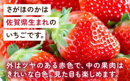 【2025年発送分先行予約】淡雪・さがほのか 紅白いちごセット各220g / いちご イチゴ 苺 フルーツ 果物 先行予約 / 佐賀県 / 岸川農園 [41ASAG043]