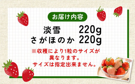 【2025年発送分先行予約】淡雪・さがほのか 紅白いちごセット各220g / いちご イチゴ 苺 フルーツ 果物 先行予約 / 佐賀県 / 岸川農園 [41ASAG043]