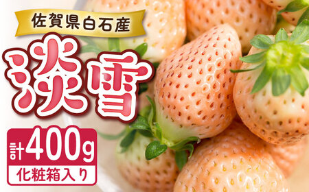 【化粧箱入り】ほんのりピンクな白いちご希少「淡雪」400g / 佐賀県 いちご / 岸川農園 [41ASAG044]