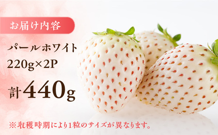 【2025年発送分先行予約】佐賀県産 パールホワイト 約220g×2パック / イチゴ 苺 フルーツ 果物 / 佐賀県 / かわさきいちご [41ASBJ003]