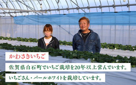 【2025年発送分先行予約】佐賀県産 パールホワイト 約220g×2パック / イチゴ 苺 フルーツ 果物 / 佐賀県 / かわさきいちご [41ASBJ003]