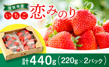 佐賀県産いちご 恋みのり 220g×2パック / 佐賀県 / 鐘ヶ江農園