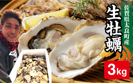 竹崎産 ブランド生牡蠣「ゆり姫」3kg（ナイフ付き） / 牡蠣 / 佐賀県 / 宗徳丸 [41ATAF003]