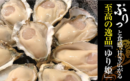 竹崎産 ブランド生牡蠣「ゆり姫」5kg（ナイフ付き） / 牡蠣 / 佐賀県 / 宗徳丸 [41ATAF004]