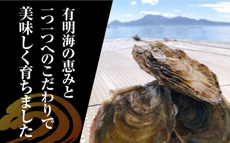 竹崎産 ブランド生牡蠣「ゆり姫」5kg（ナイフ付き） / 牡蠣 / 佐賀県 / 宗徳丸 [41ATAF004]