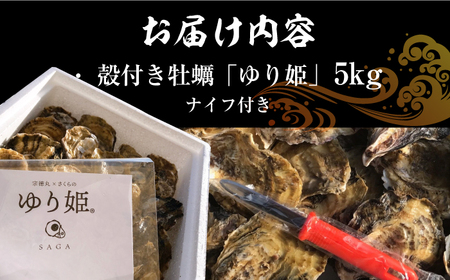 竹崎産 ブランド生牡蠣「ゆり姫」5kg（ナイフ付き） / 牡蠣 / 佐賀県 / 宗徳丸 [41ATAF004]