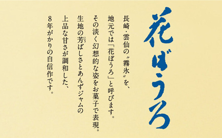 花ぼうろ あんずジャム入り 17個 / お菓子 和菓子 スイーツ まるぼうろ / 佐賀県 / 株式会社北島 [41AABN006]