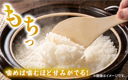 【もっちり甘い】令和5年産 さがびより 白米 計10kg（5kg×2袋）/ 佐賀米 精米 コメ さがびより さがびより 佐賀県産米 / 佐賀県 / 株式会社JA食糧さが [41ADAR005]　さがびより さがびより さがびより