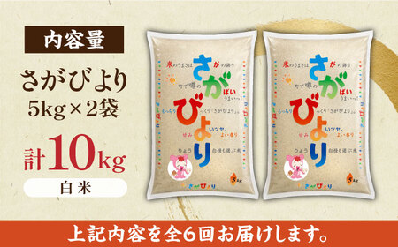 【毎月お届け！】【全6回定期便】さがびより 白米 計60kg（5kg×2袋×6回）/ 佐賀米 精米 コメ おこめ ごはん / 佐賀県 / 株式会社JA食糧さが [41ADAR007]