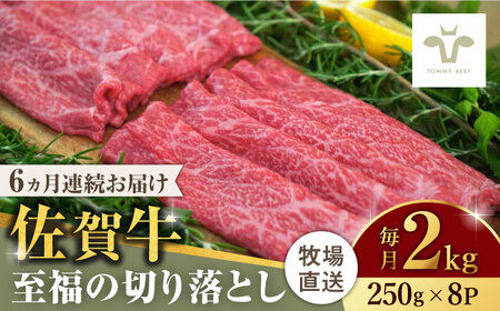 【ロマ佐賀】【全6回定期便】佐賀牛至福の切り落とし 計12kg（250g×8袋×6回） [41ASAA031]