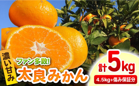 【12/22（日）までのお申込みで年内お届け】【年内発送】完熟 太良みかん 計5kg（4.5kg＋500g傷み保証分）/ フルーツ 果物 みかん 蜜柑 ミカン / 佐賀県 / 山本農園 [41ATBT003] 太良みかん 