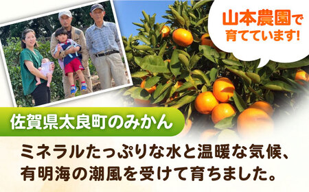 【12/22（日）までのお申込みで年内お届け】【年内発送】完熟 太良みかん 計5kg（4.5kg＋500g傷み保証分）/ フルーツ 果物 みかん 蜜柑 ミカン / 佐賀県 / 山本農園 [41ATBT003] 太良みかん 