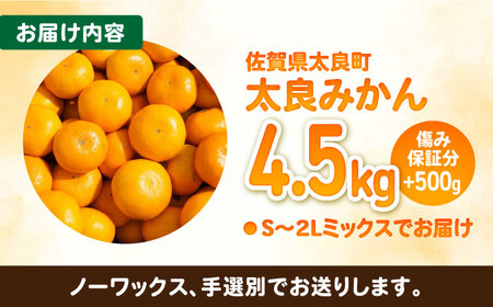 【12/22（日）までのお申込みで年内お届け】【年内発送】完熟 太良みかん 計5kg（4.5kg＋500g傷み保証分）/ フルーツ 果物 みかん 蜜柑 ミカン / 佐賀県 / 山本農園 [41ATBT003] 太良みかん 