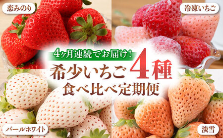 【全4回定期便】希少いちご（恋みのり・パールホワイト・淡雪・冷凍いちご）食べ比べ / 苺 果物 フルーツ / 佐賀県 [41AAZZ003]