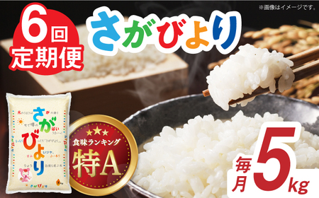 【時間が経っても美味しい】【全6回定期便】令和5年産 さがびより 白米 計30kg（5kg×1袋×6回）/ お米 さがびより さがびより ブランド米 ふるさと納税米 / 佐賀県 / 株式会社森光商店 [41ACBW029]