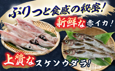 【化粧箱入り】いかしゅうまい（8個入り×4箱） / 佐賀県 [41AECT002]