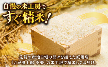 令和6年産新米】令和5年産 上場産こしひかり 約4.5kg / お米 精米 ブランド米 ふるさと納税米 / 佐賀県 / さが風土館季楽  [41AABE051] | 佐賀県（県庁） | ふるさと納税サイト「ふるなび」