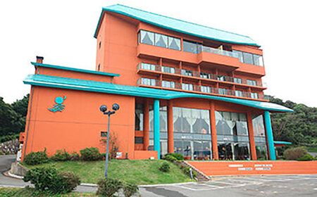 旅宿よぶこのいかしゅうまい 8個入×2箱 / 佐賀県 / 旅宿よぶこ [41ADDC003]