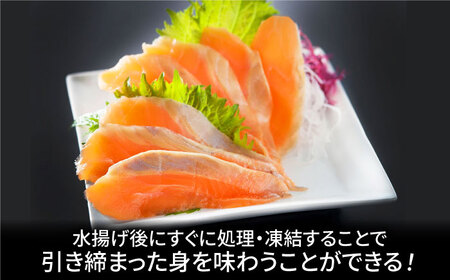 玄海サーモン3種詰合せ（切り身、醤油漬け、クリーム煮） / 佐賀県 [41AECT005]