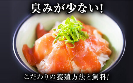 玄海サーモン3種詰合せ（切り身、醤油漬け、クリーム煮） / 佐賀県 [41AECT005]