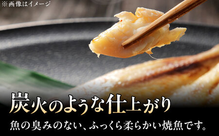 レンジで簡単 焼魚詰め合わせ 計18切（6種×3切） / 佐賀県 [41AECT011]