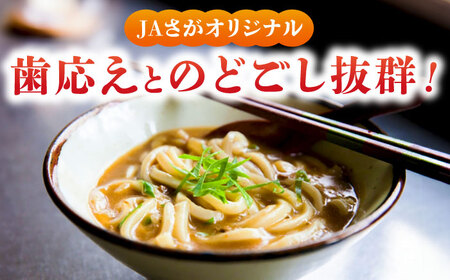 【レビューキャンペーン実施中】【佐賀県産小麦100％使用】さがカレーうどん 計16袋（めん、スープ付） / 佐賀県 / さが風土館季楽[41AABE082]