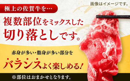 【全3回定期便】佐賀牛切り落とし 計3kg（500g×2P×3回） / 佐賀県 / ヤマサン食品 [41ADAA005]