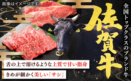 【全6回定期便】佐賀牛切り落とし 計6kg（500g×2P×6回） / 佐賀県 / ヤマサン食品 [41ADAA006]