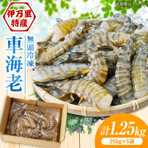 【加熱用】伊万里特産 無頭冷凍クルマエビ（250g×5袋） / エビエビエビエビエビエビエビ [41AEAJ009]