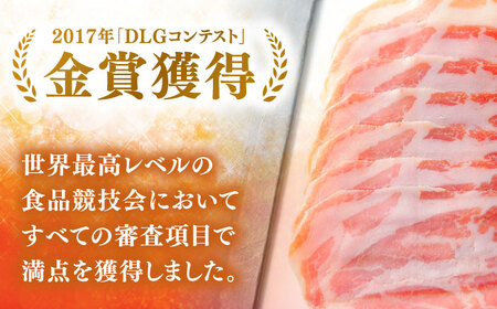 1年熟成させた本格国産生ハム 計180g（30g×6パック）/ 使いやすい 小分けパック おつまみ / 佐賀県 / 有限会社ふるさと倶楽部 [41ABCM009]