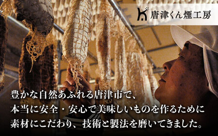 【ロマ佐賀】冷凍マルゲリータピザ 4枚セット ドイツのコンテストで金賞受賞 冷凍ピザ / 有限会社ふるさと倶楽部 [41ABCM011]