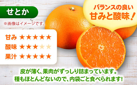 そのまんま せとかジュース 720ml×2本 みかんジュース / 佐賀県 / 山本農園 [41ATBT016]