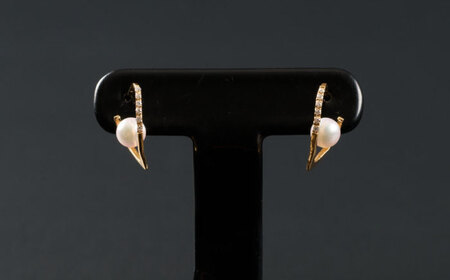 煌めくライン5.0mm アコヤ真珠ピアス（ケース付き） / 佐賀県 [41AAAA021]