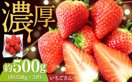 いちごさん 約500g（約250g×2パック） / 佐賀県 / リフルット株式会社 [41ABAA002]