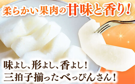 【令和7年分先行予約】【100年続く梨農家直送】【化粧箱入り】梓（あきづき）3個入（約1.2kg）/ 梨 なし 伊万里梨 フルーツ 果物 / 佐賀県 / 大川三世代 [41AEAB001] 梨 なし 伊万里梨 フルーツ 梨 なし 伊万里梨 フルーツ