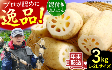 【年末発送】田島屋れんこん 3kg（泥付き） / 佐賀県 / 田島屋れんこん [41ASDA003]