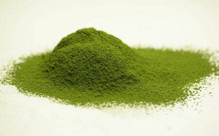 至高の抹茶ロールケーキ 2本入り / 佐賀県 / シェ・ヤマモト [41AAAE003]