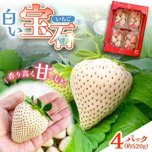白い宝石（自宅用）約520g（約130g×4パック） / 佐賀県 / 手島農園 [41ABAB003]