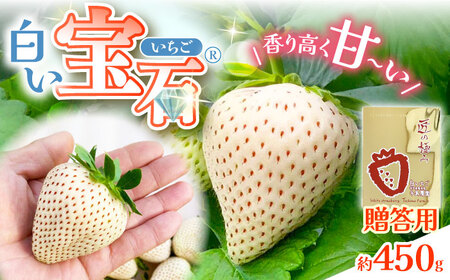 白い宝石（贈答用）約450g / いちご / 佐賀県 / 手島農園 [41ABAB005]