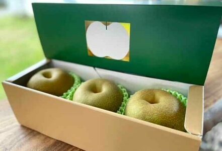 【2026年発送分 先行予約】【化粧箱入り】温室幸太郎（幸水）3個入（約1.2kg） / 佐賀県 / 大川三世代 [41AEAB012]