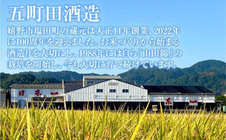 東一 大吟醸・純米大吟醸 セット 720ml×2本 / 佐賀県 / 有限会社嬉野酒店 [41AIAA001]