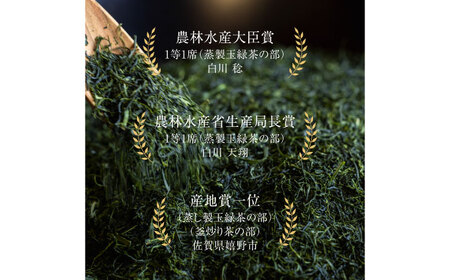 【ロマ佐賀】陽々セット 計5袋 / お茶 / 白川製茶園 [41AIAB004]