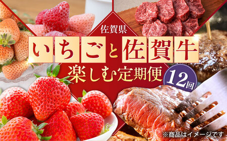 【2026年発送分 先行予約】【全12回定期便】生産者を応援！いちごと佐賀牛を楽しむ定期便 / 佐賀県  [41AAZZ008]